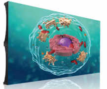 P0.9375 全彩LED显示屏